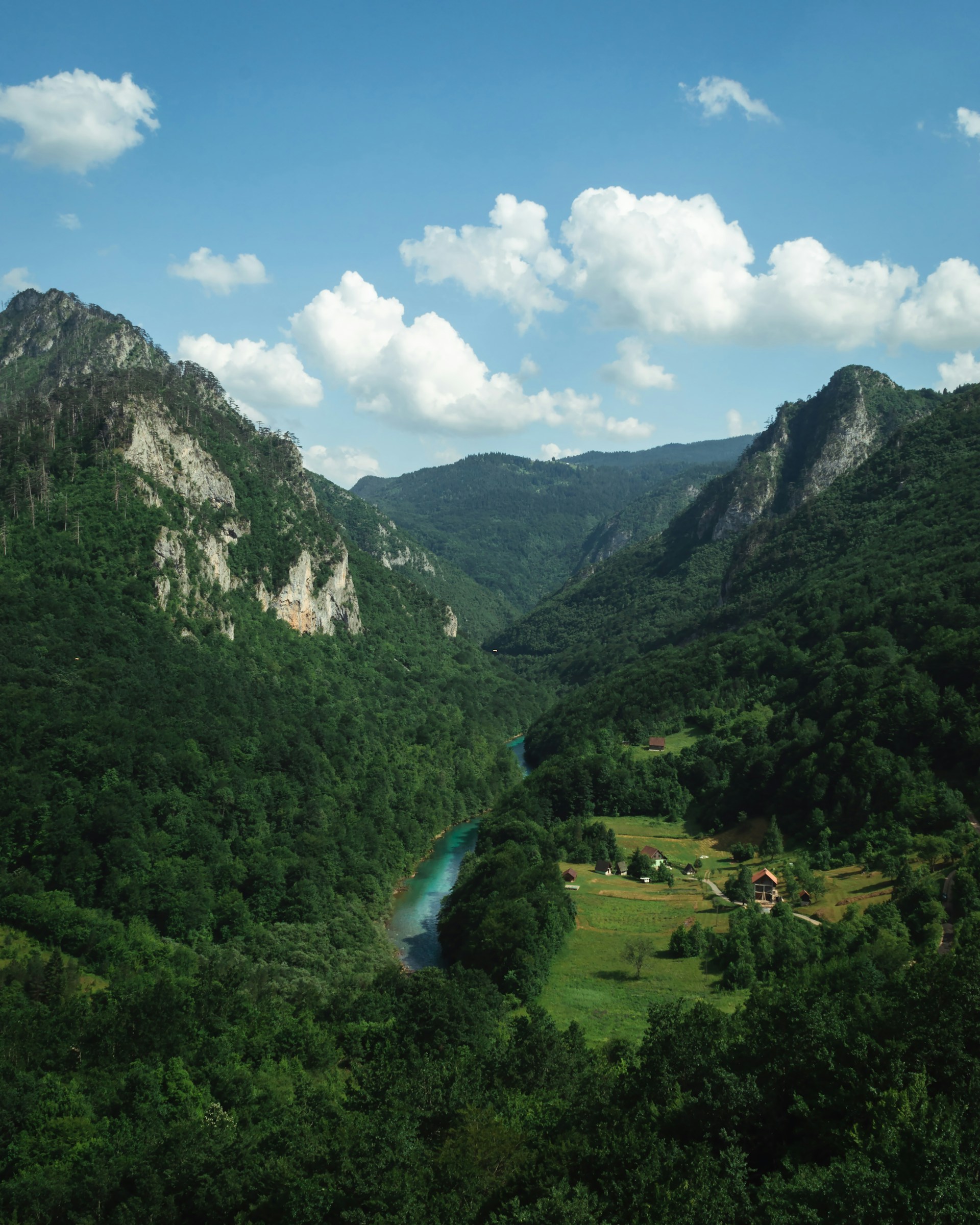 Tara river